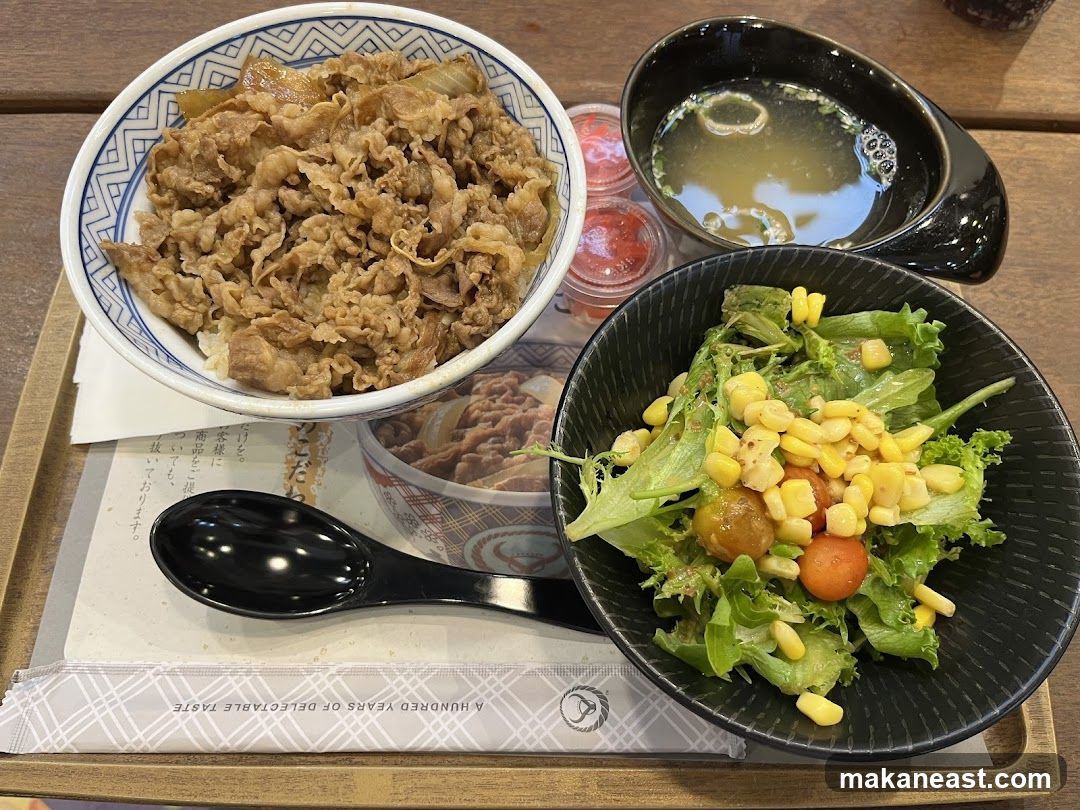 Beef bowl with side salad and soup