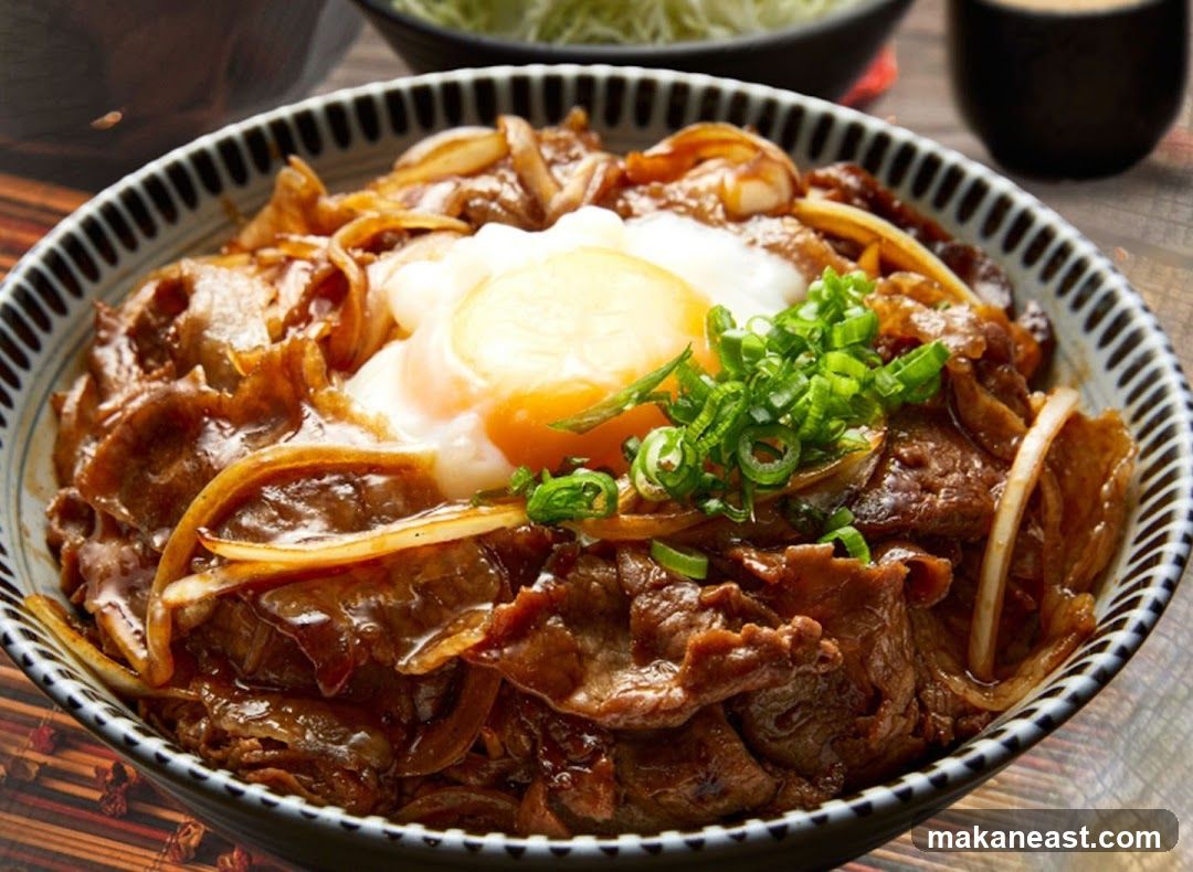 Beef and Onion Rice Bowl with Egg