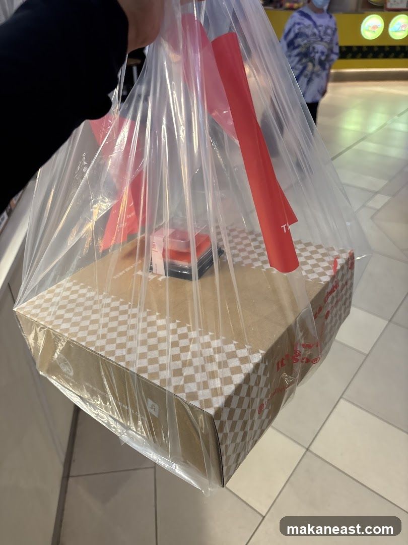 Takeout Bag with Food