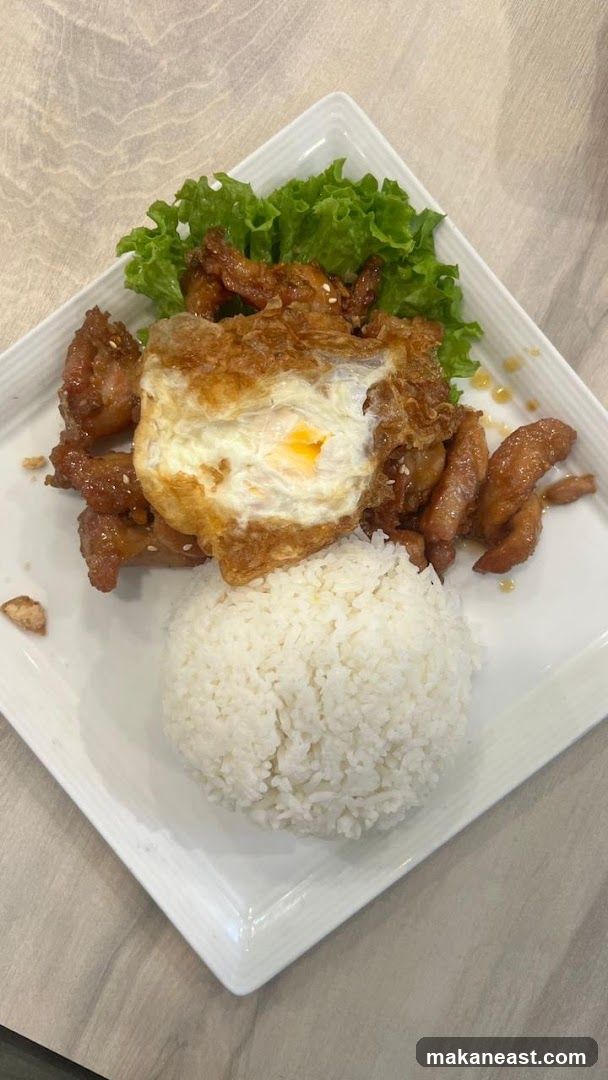 Fried Egg and Meat with Rice