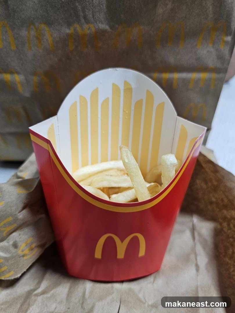 French Fries in a McDonald's Container