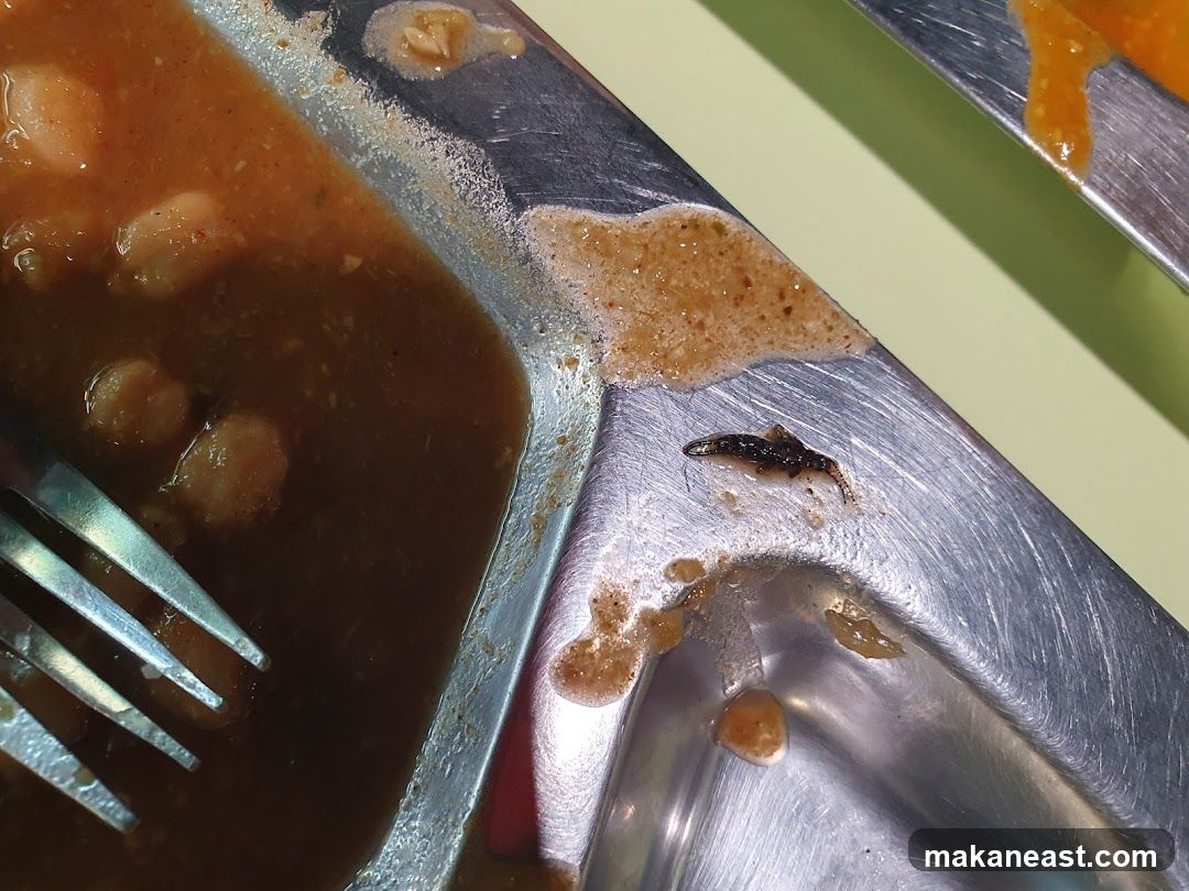 Food with insect
