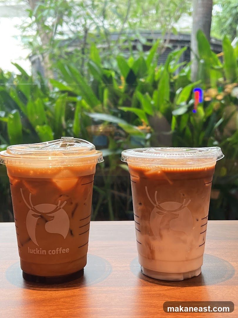 Two iced coffee drinks