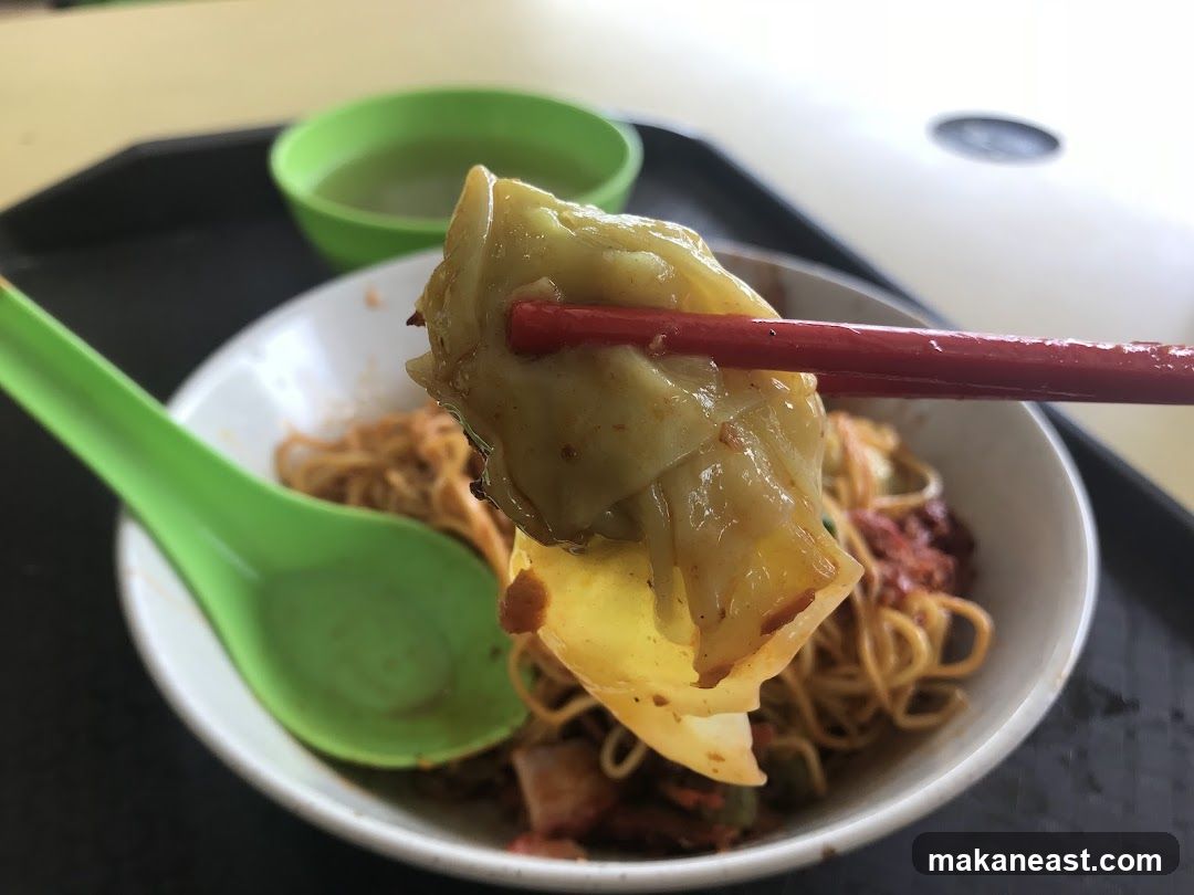 Wonton Noodles