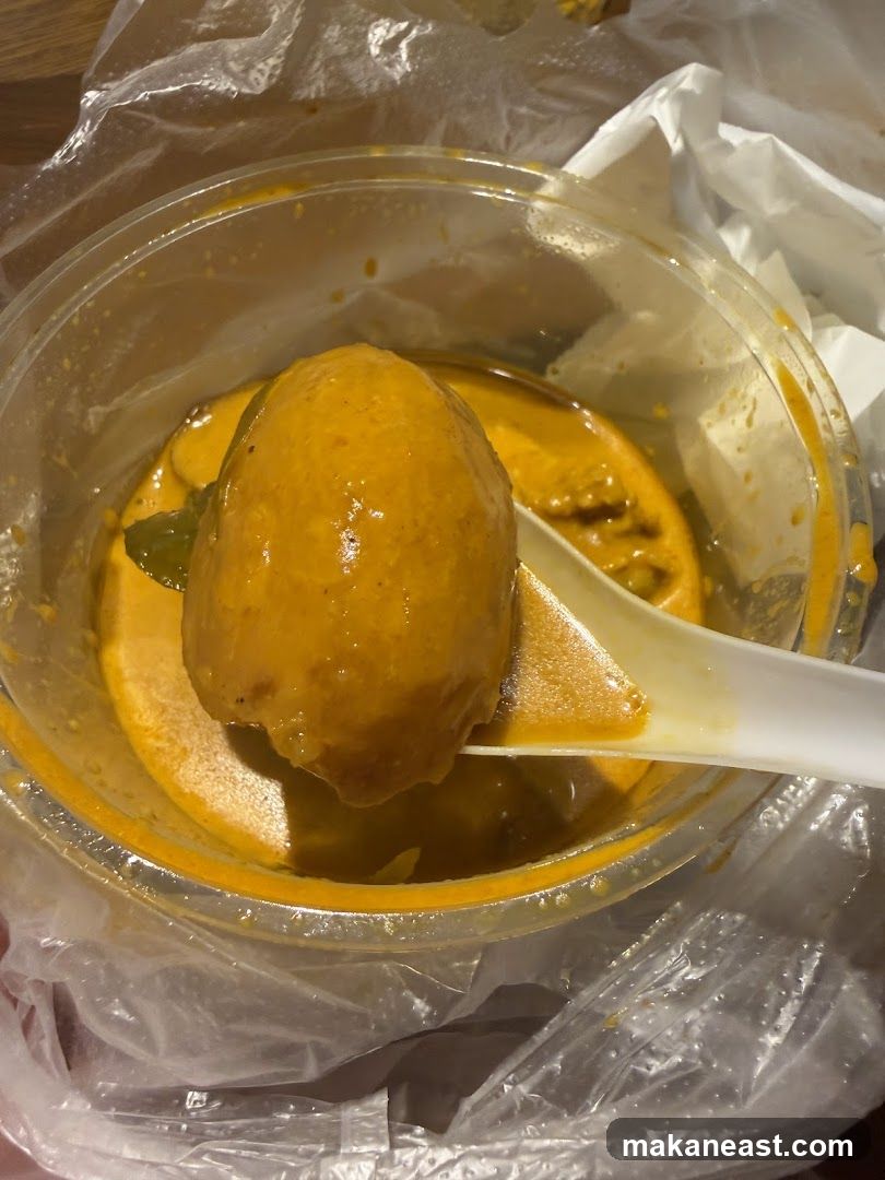 Curry with Meatball