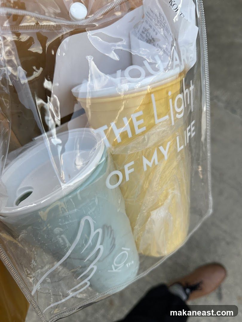 Collapsible Cups