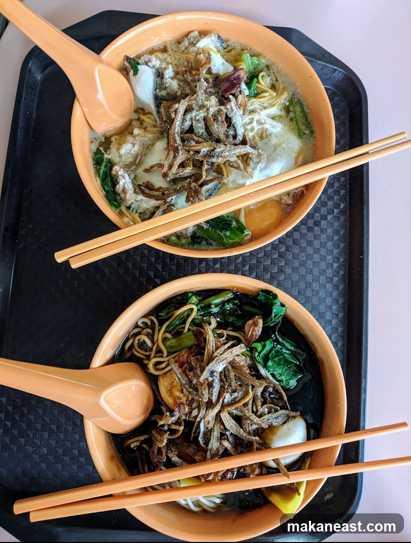 Two bowls of noodles