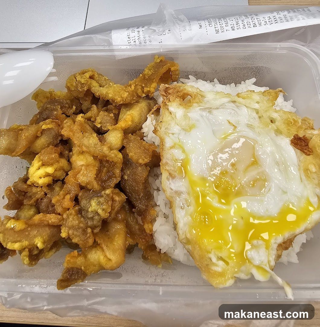 Fried Pork with Rice and Egg