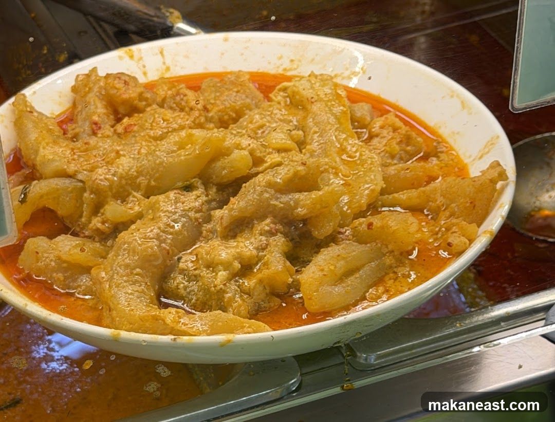Curry Dish