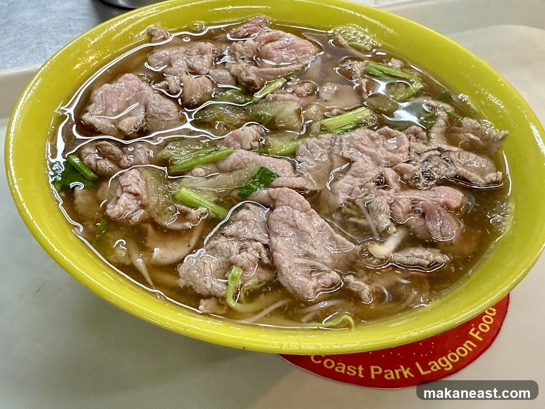Bowl of Beef Noodle Soup