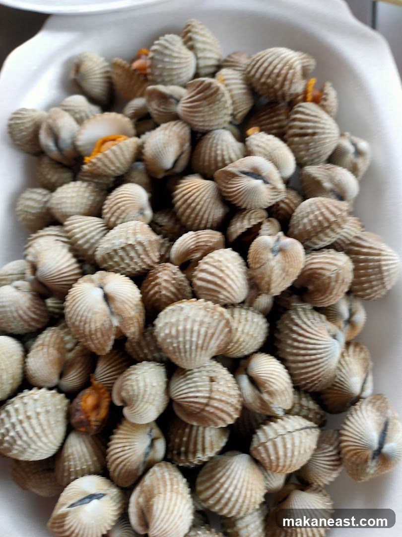 Steamed Cockles