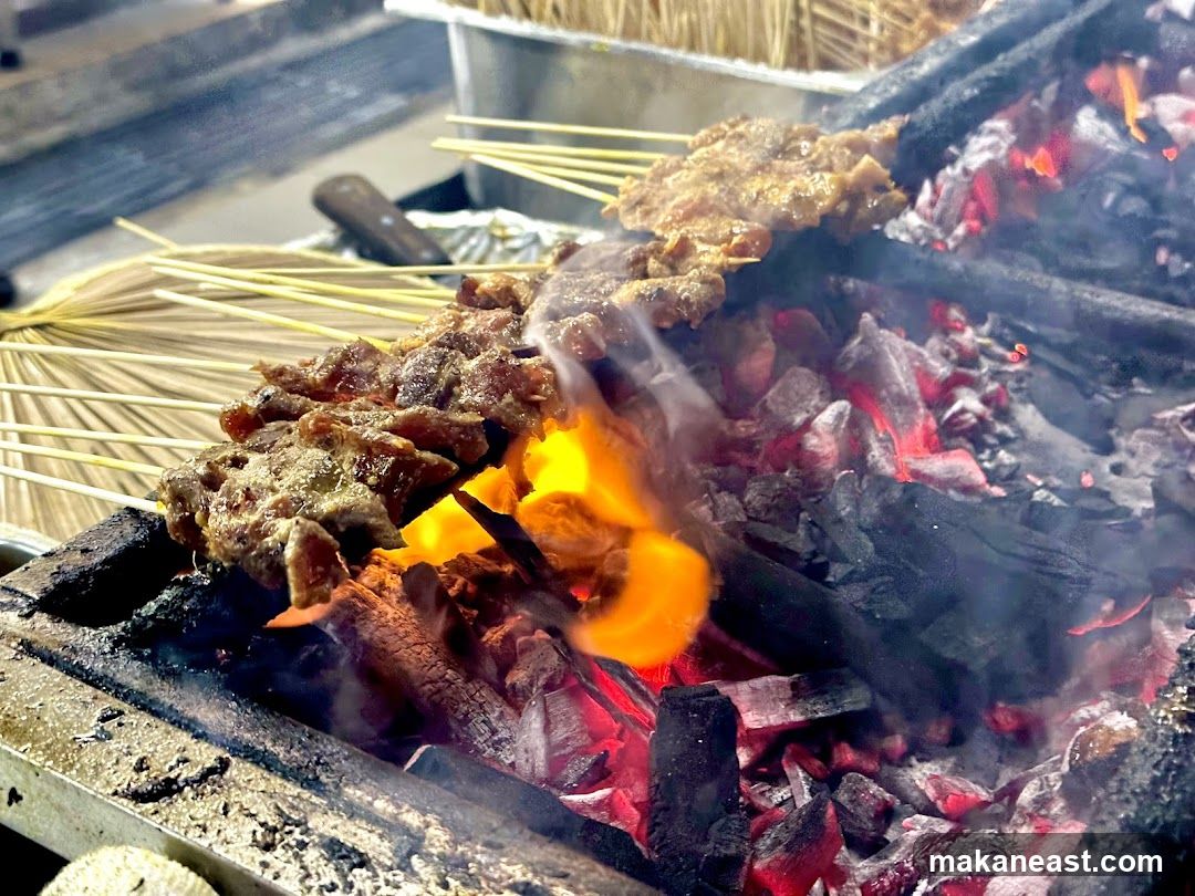 Meat skewers grilling over coals