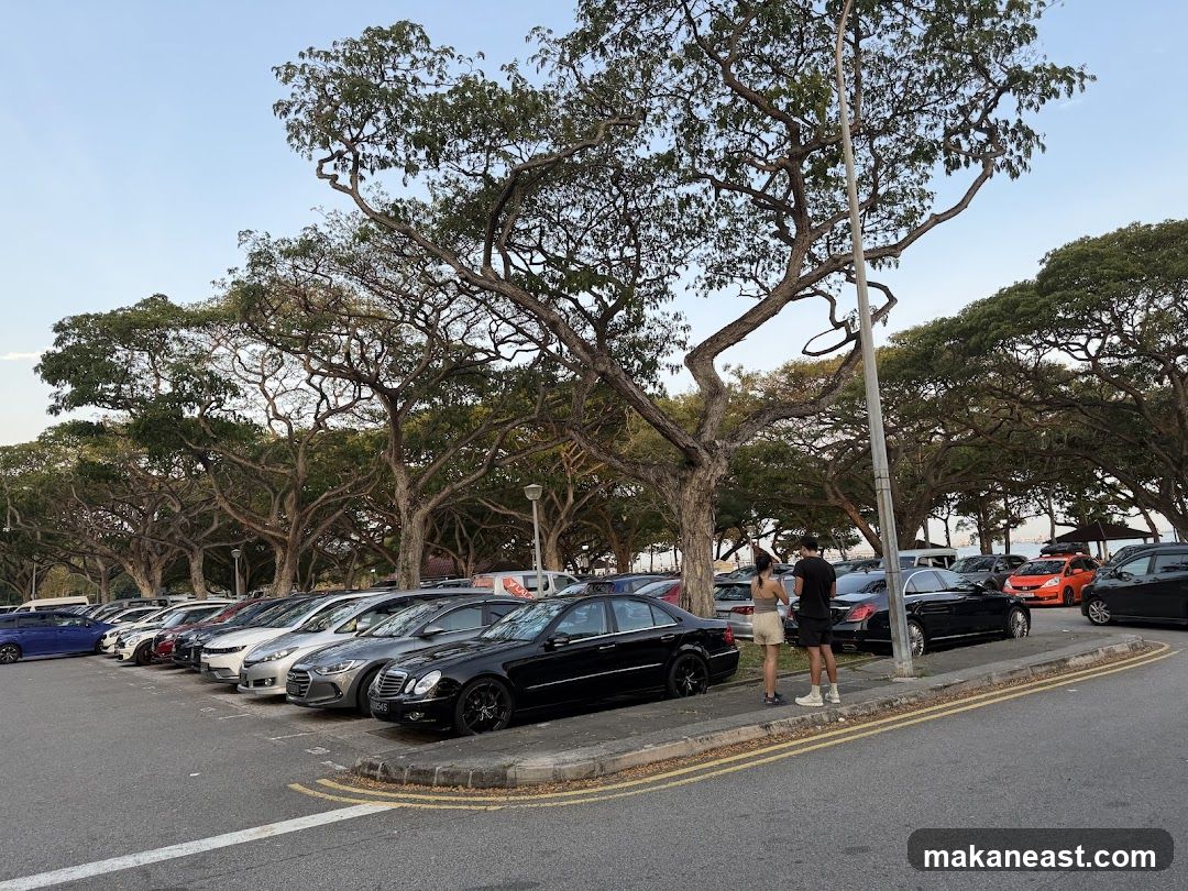 Cars parked under trees