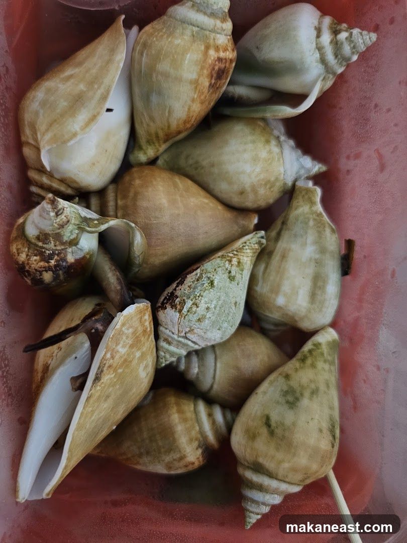 Seashells in a container
