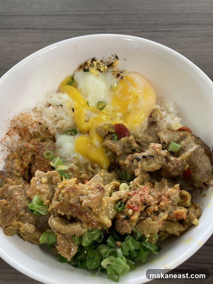 Rice Bowl with Meat and Egg