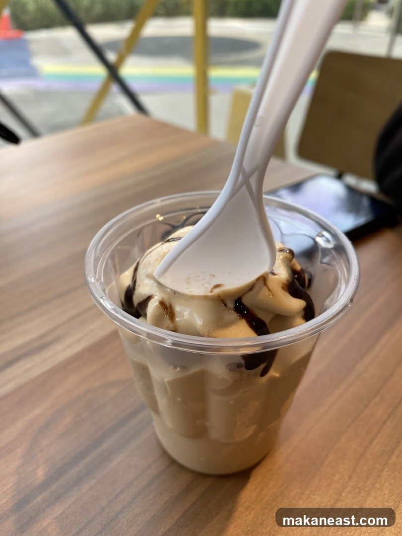 Ice cream with chocolate syrup