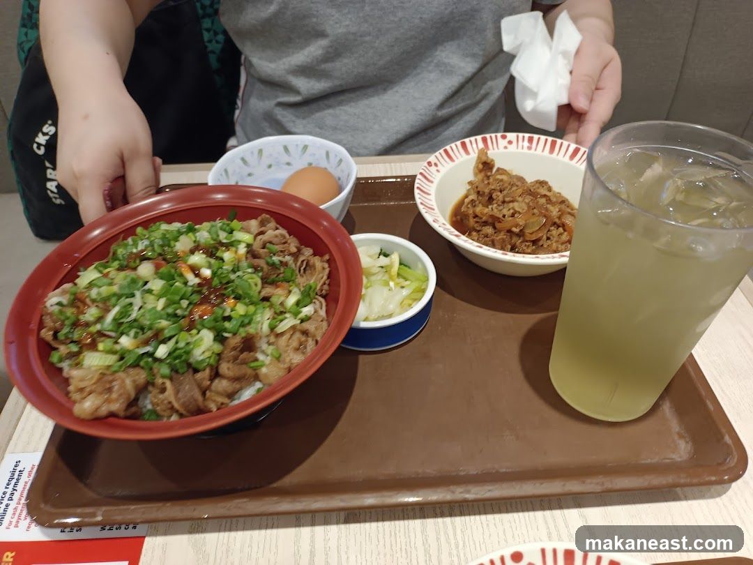Beef Bowl Meal