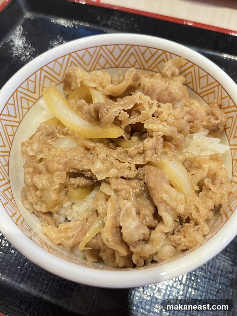 Beef and Onion Rice Bowl