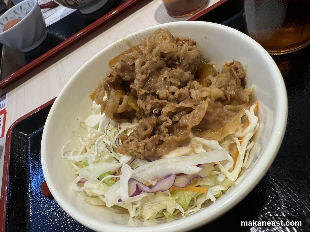 Beef Bowl with Salad