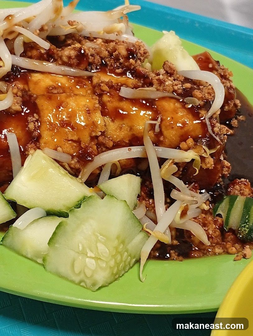 Fried Tofu with Sauce and Bean Sprouts