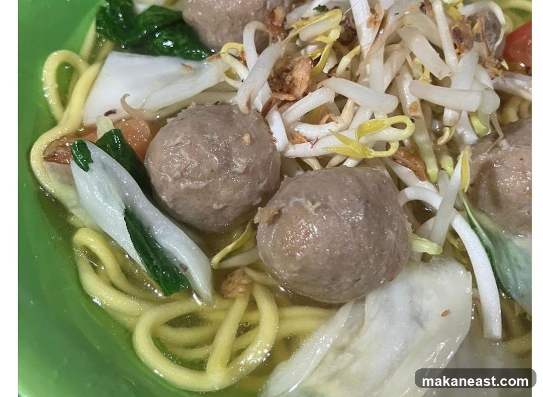 Meatball Soup