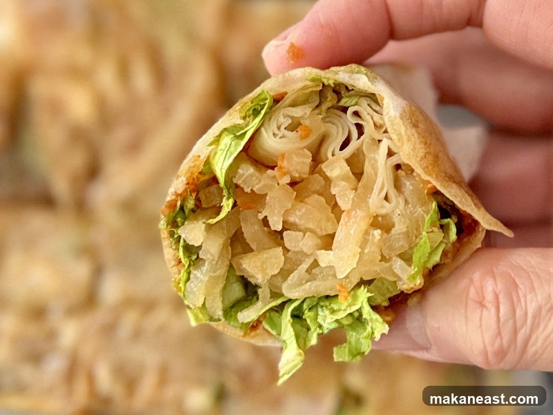Close-up of a Spring Roll