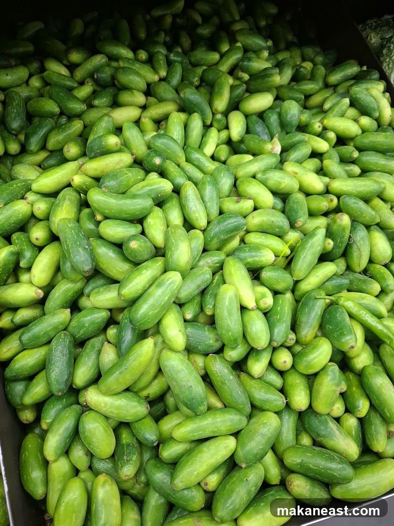 Ivy Gourd
