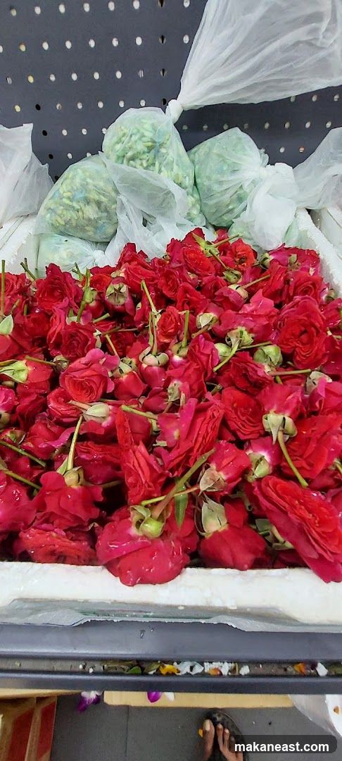 Red Roses and Green Buds