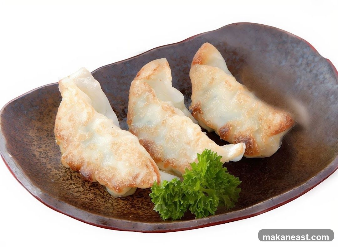 Pan-fried dumplings
