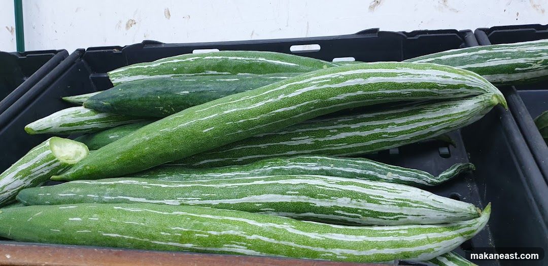Snake Gourds
