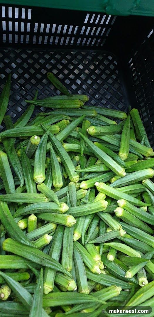 Okra in a Crate
