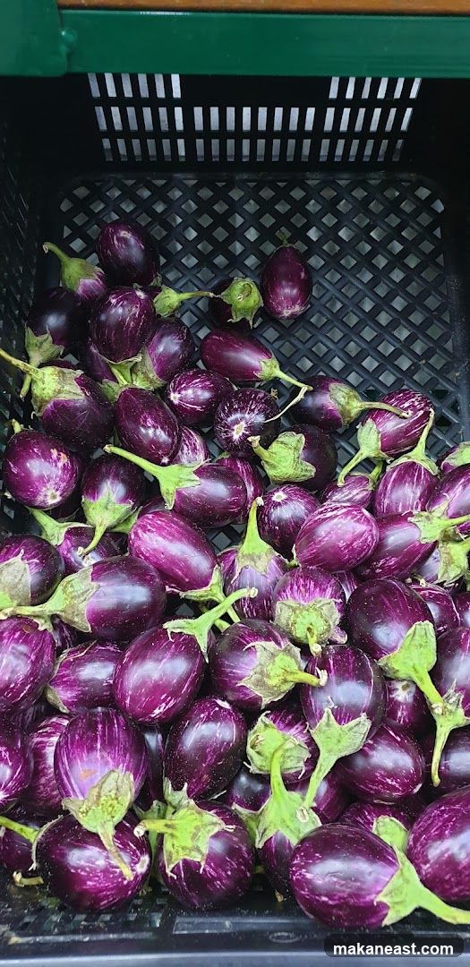 Indian Eggplants