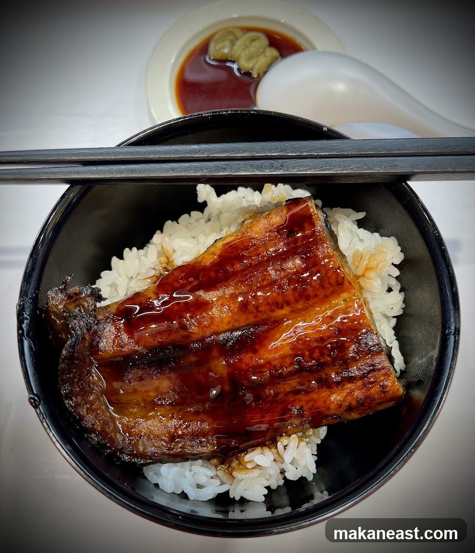 Unagi Donburi
