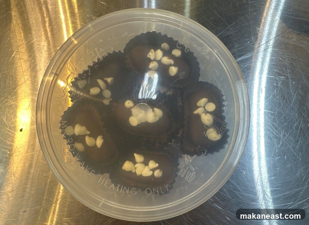 Chocolate Cookies