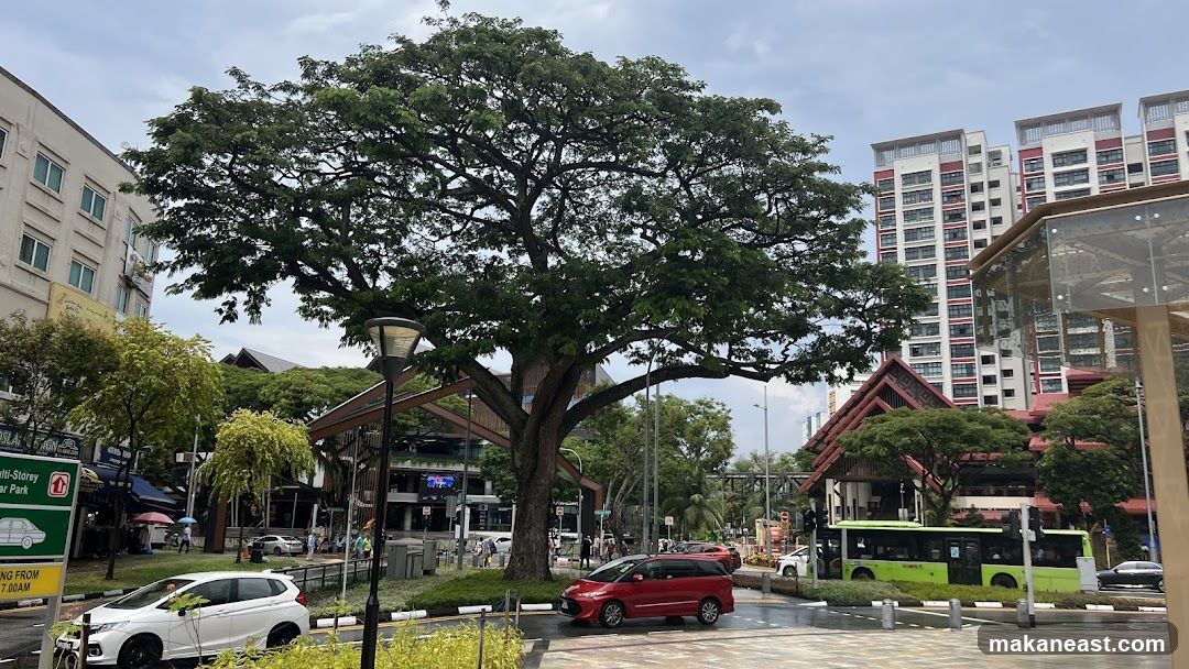 Street Scene with Large Tree and Buildings