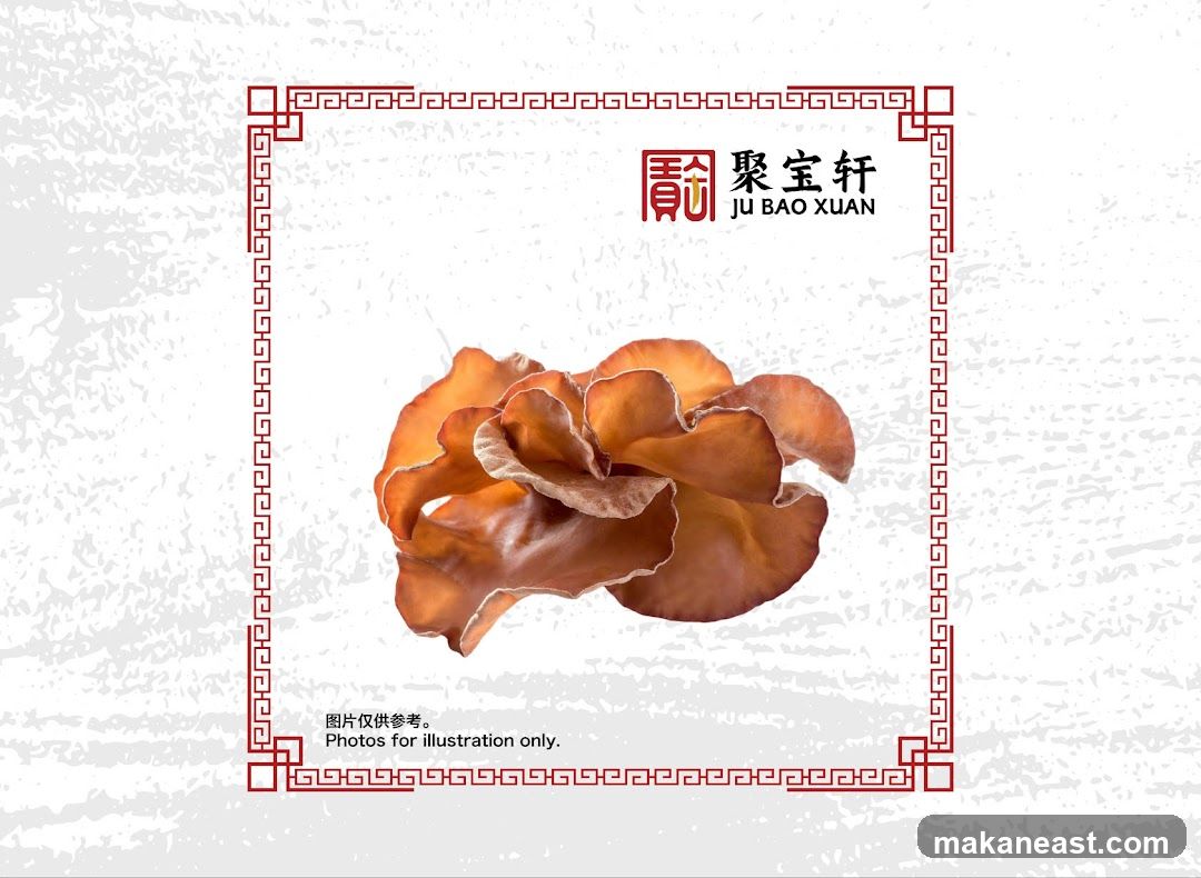 Ju Bao Xuan Mushroom Illustration