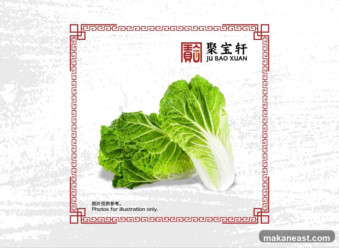 Napa Cabbage Illustration