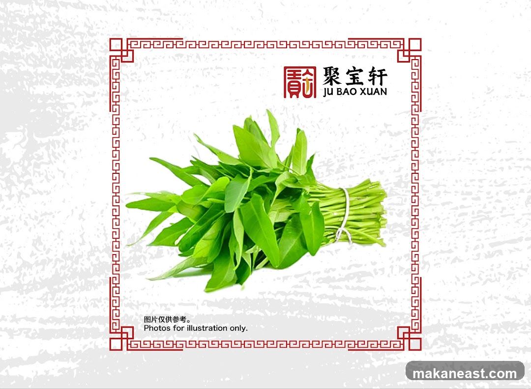 Water Spinach Illustration