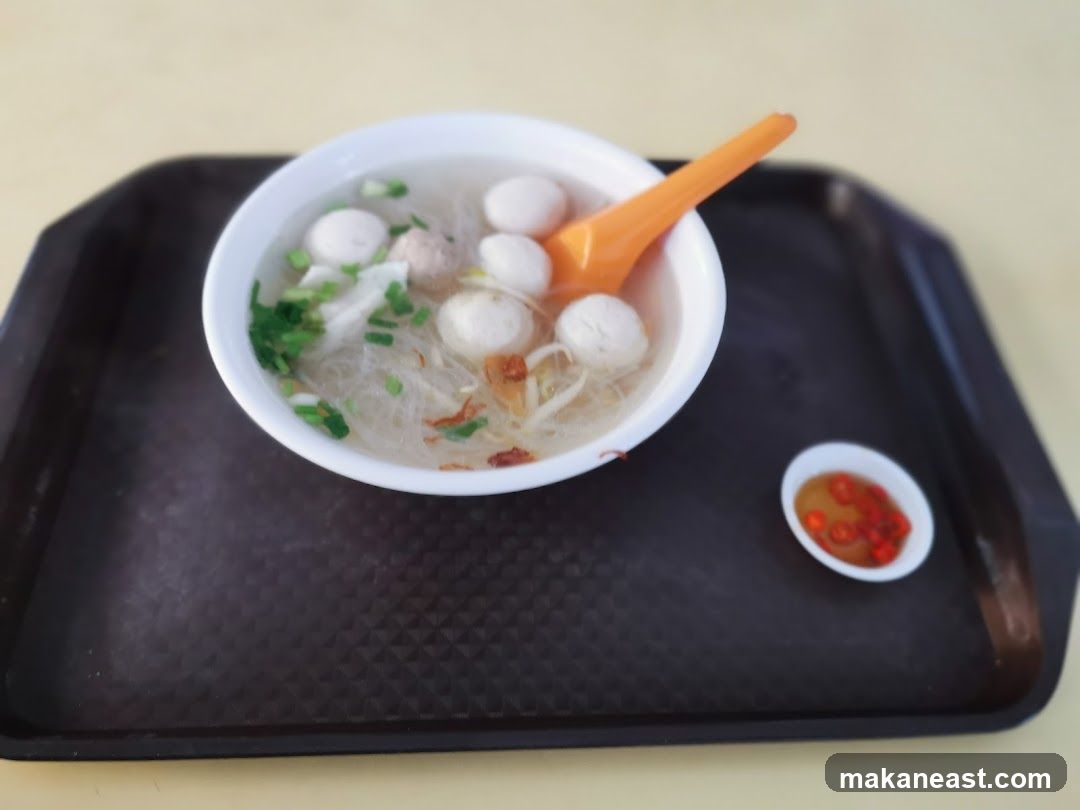 Bowl of Noodle Soup