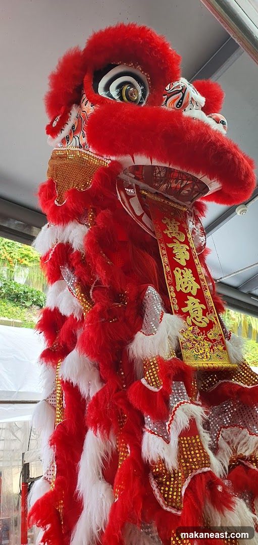 Lion Dance Costume Detail