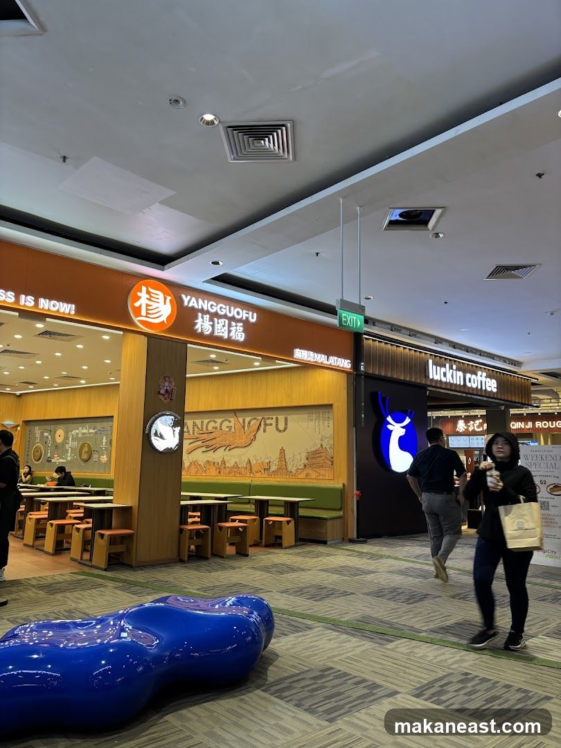 Yang Guo Fu Mala Tang @ Changi City Point
