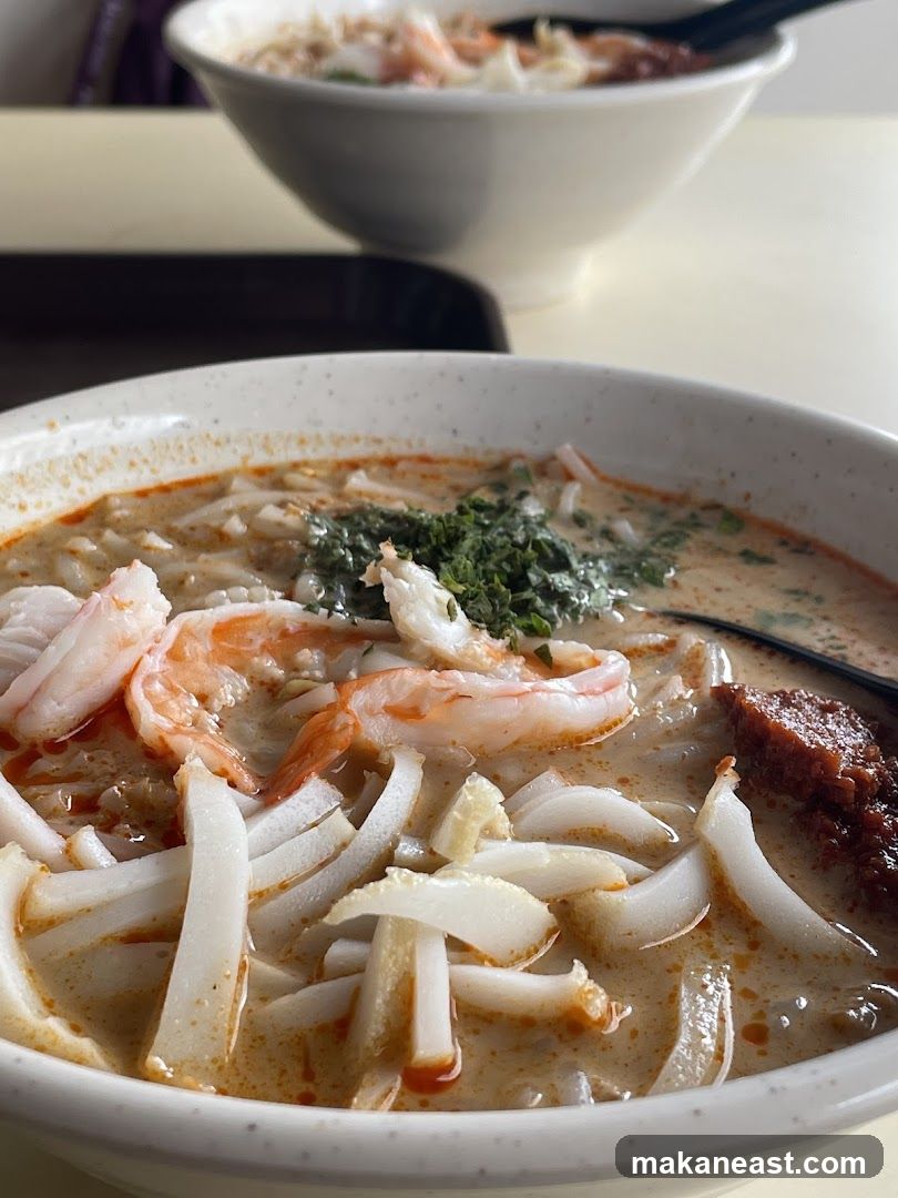 Laksa Noodles