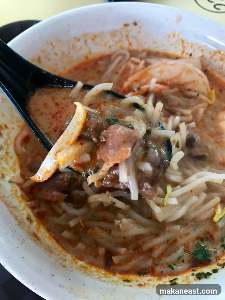 Laksa Noodle Soup