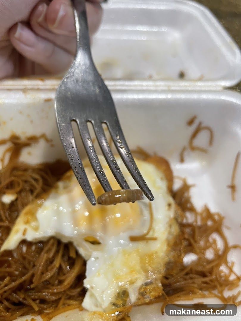 Worm on Fork Over Noodles and Egg