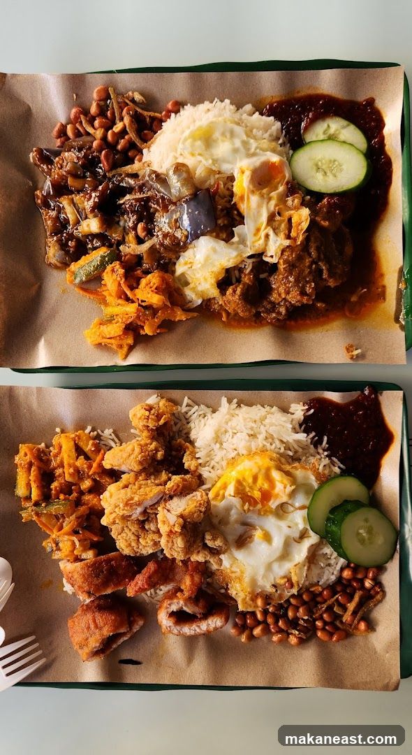 Two Nasi Lemak Dishes