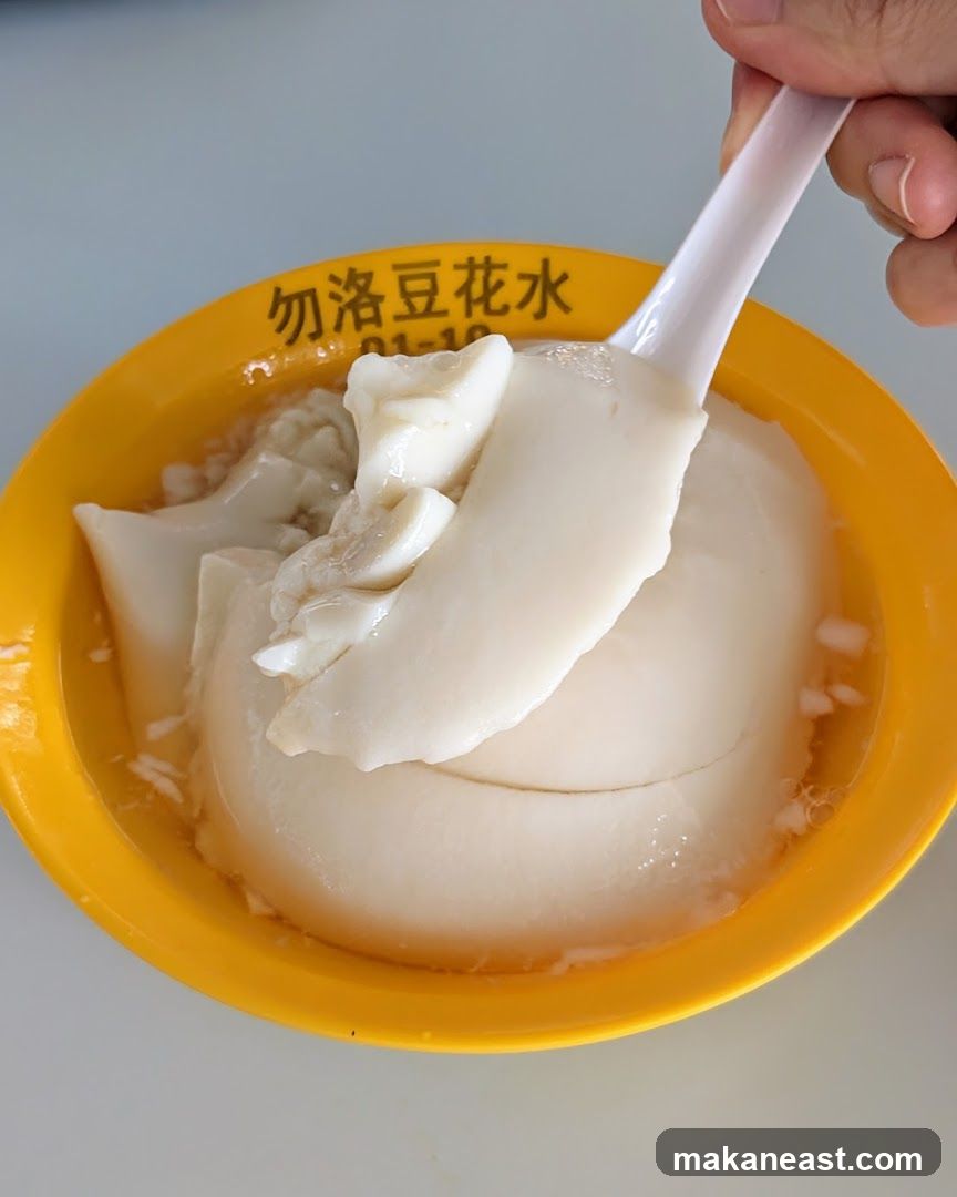 Soy Pudding