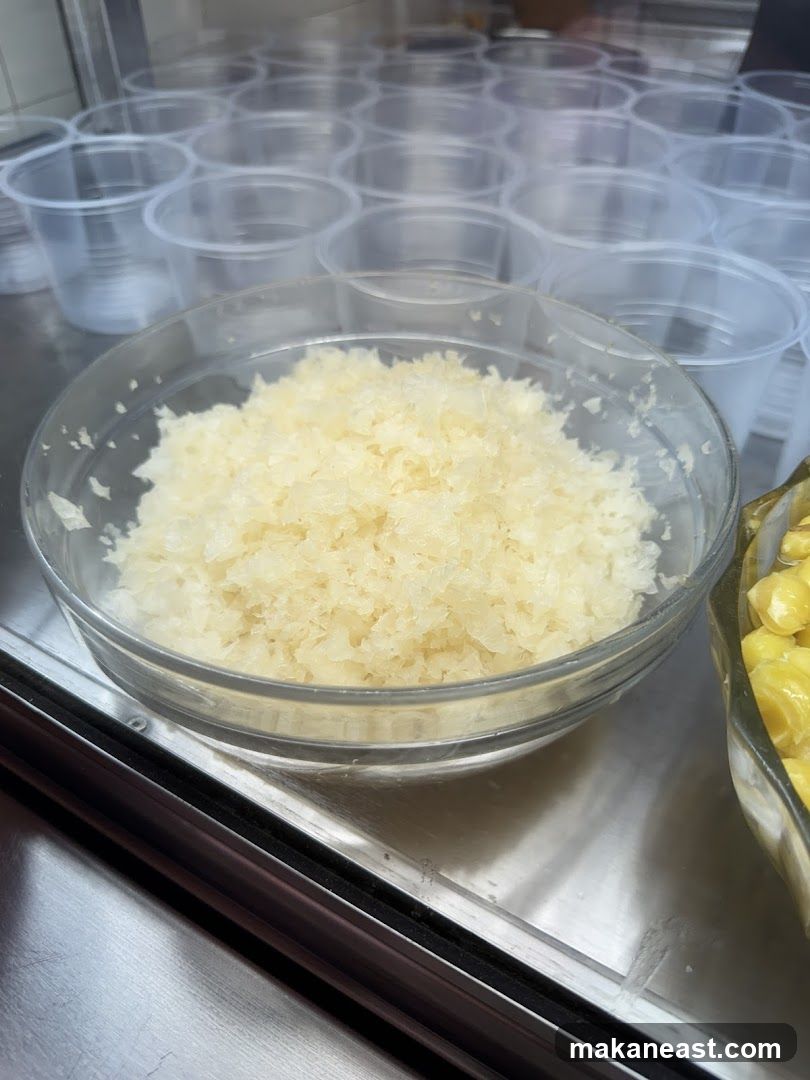 Shaved Ice and Corn Toppings