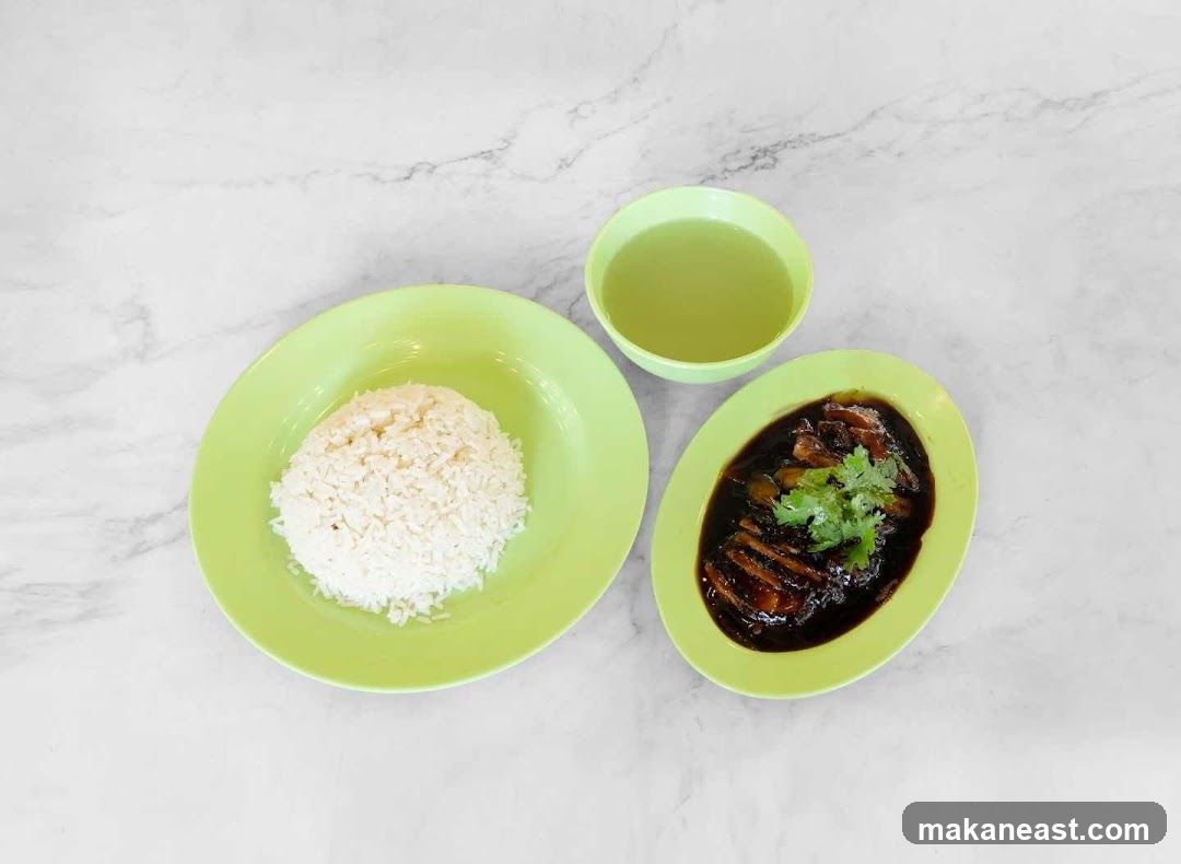 Braised Duck Rice