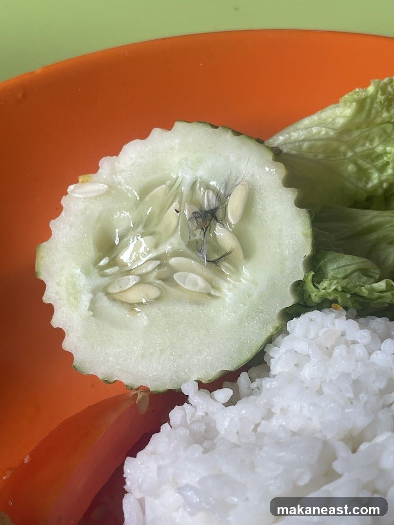 Cucumber slice with hair