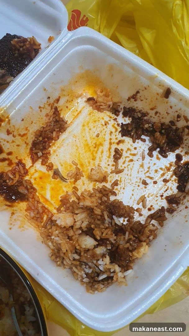 Leftover Rice and Meat